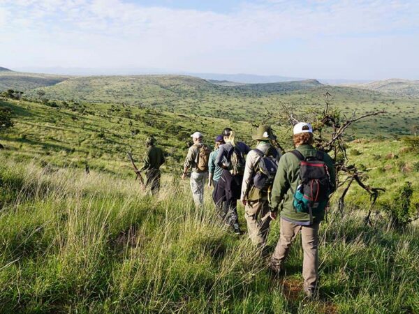 International Conservation Series: Lewa Wildlife Conservancy