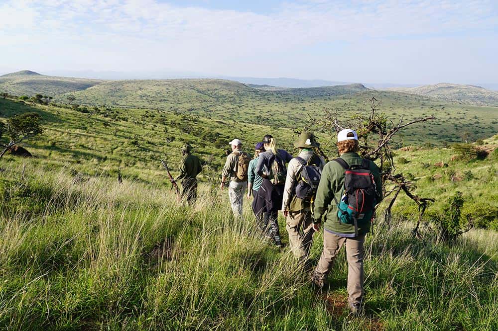 Mirrs-Africa-2