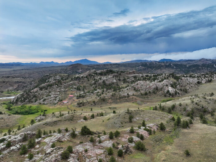 Mountain Sheep Meadows