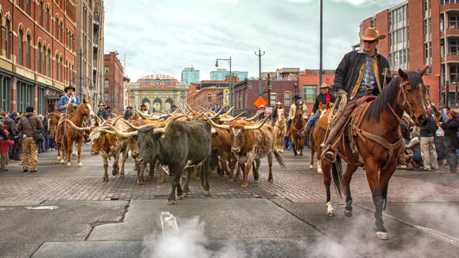 NWSS-Parade-Longhorns