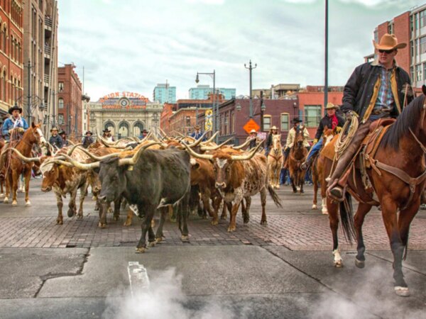 National Western Stock Show delivers a big return on western heritage in 2024