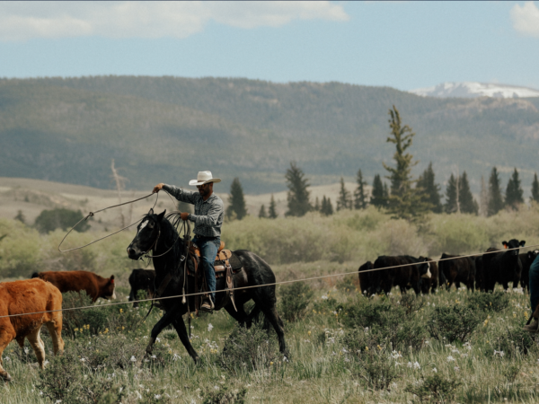 Changing the Game: How Northway is Empowering Ranchers to Reimagine Operations