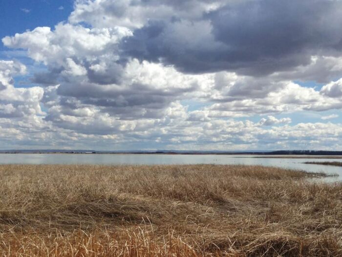 Pelican Lake Farms