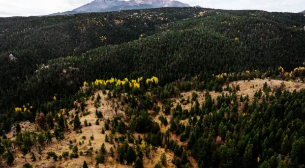 Opening a New Chapter for Outdoor Recreation in the Pikes Peak Region