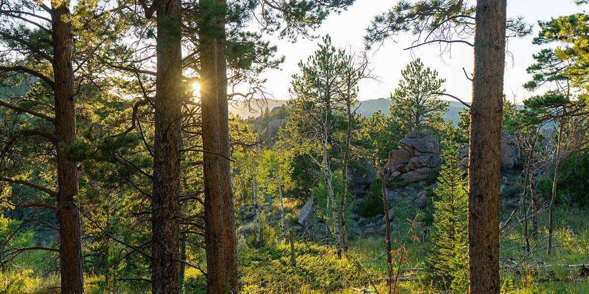 Pole Mountain Ranch