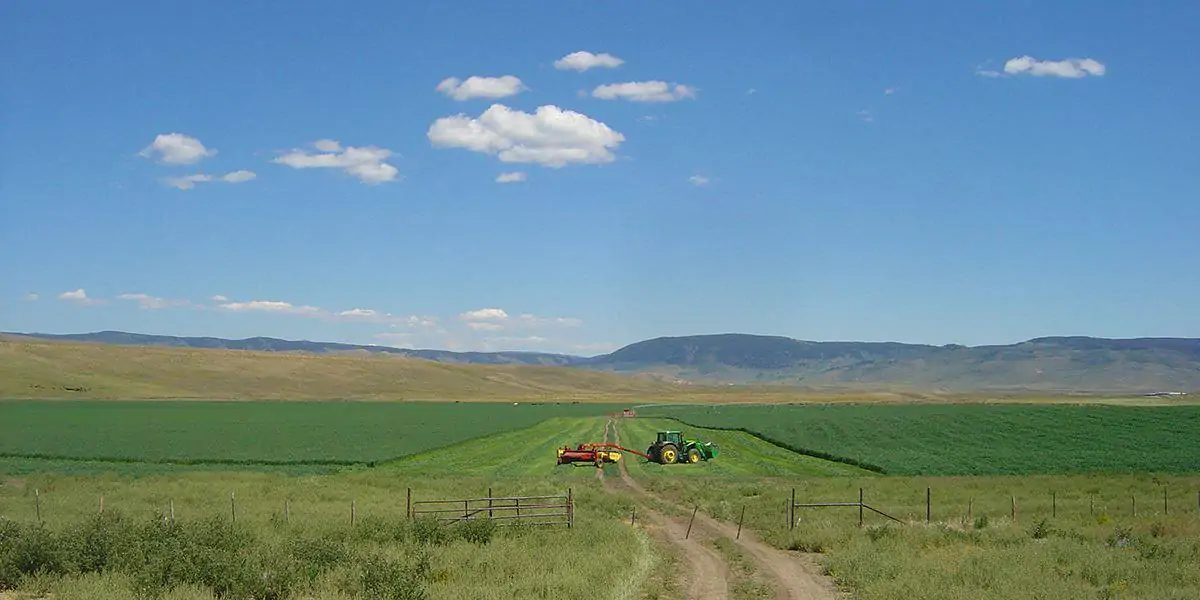 How to Sell Land Fast | Porcupine Ridge Ranch