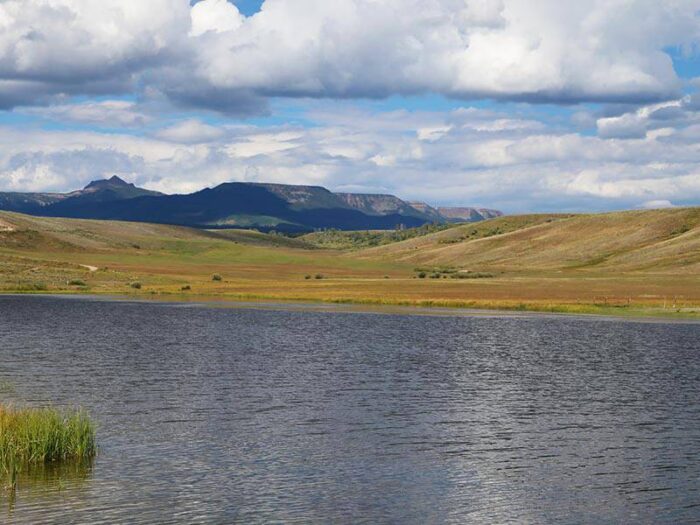 Porcupine Ridge Ranch