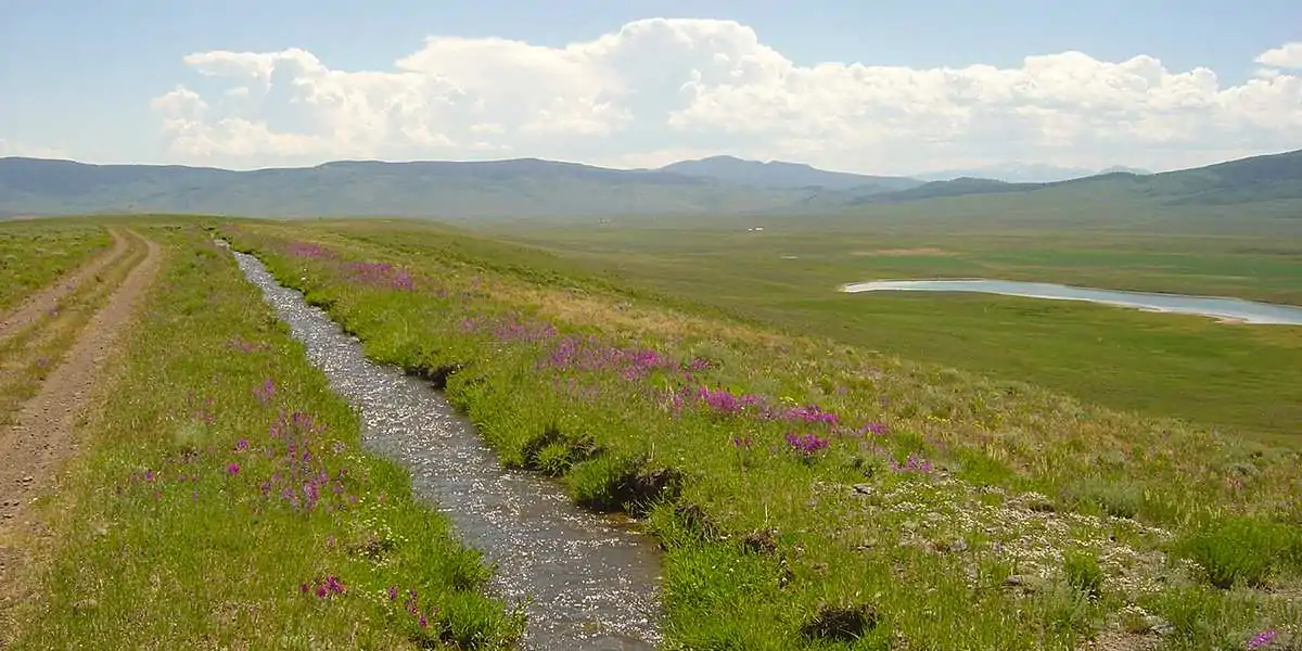 Porcupine Ridge Ranch