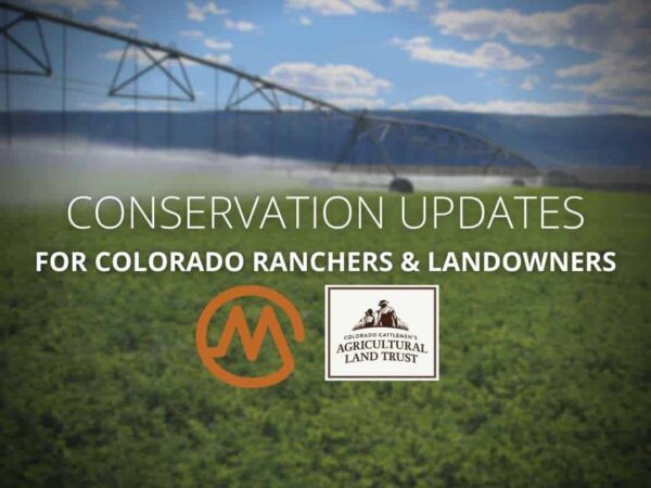 Live: Conservation Updates with Erik Glenn of CCALT