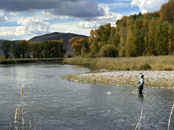 Fly Fishing the Upper Colorado at Reeder Creek Ranch