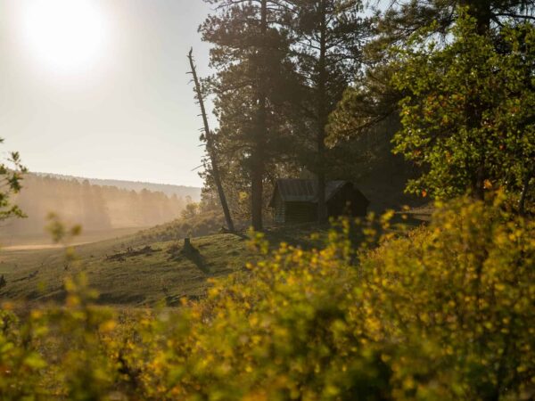 News From Our Partners at western land alliance