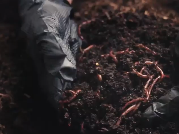 New Episode: How Earthworms Are Changing the Ranching Game