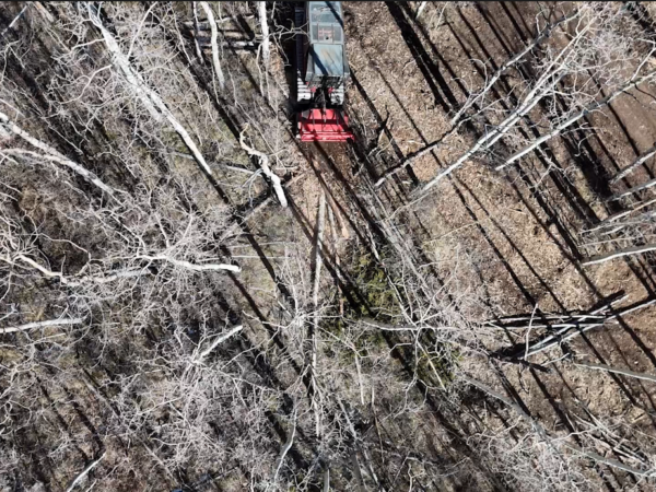 New Episode: Wildfire Mitigation 101: Protecting Your Land with Outlaw Forestry