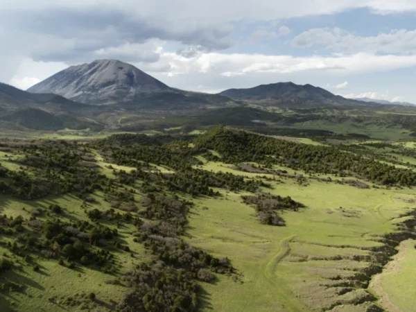 New Episode: Ranch Buying 101: What First-Time Buyers Need to Know