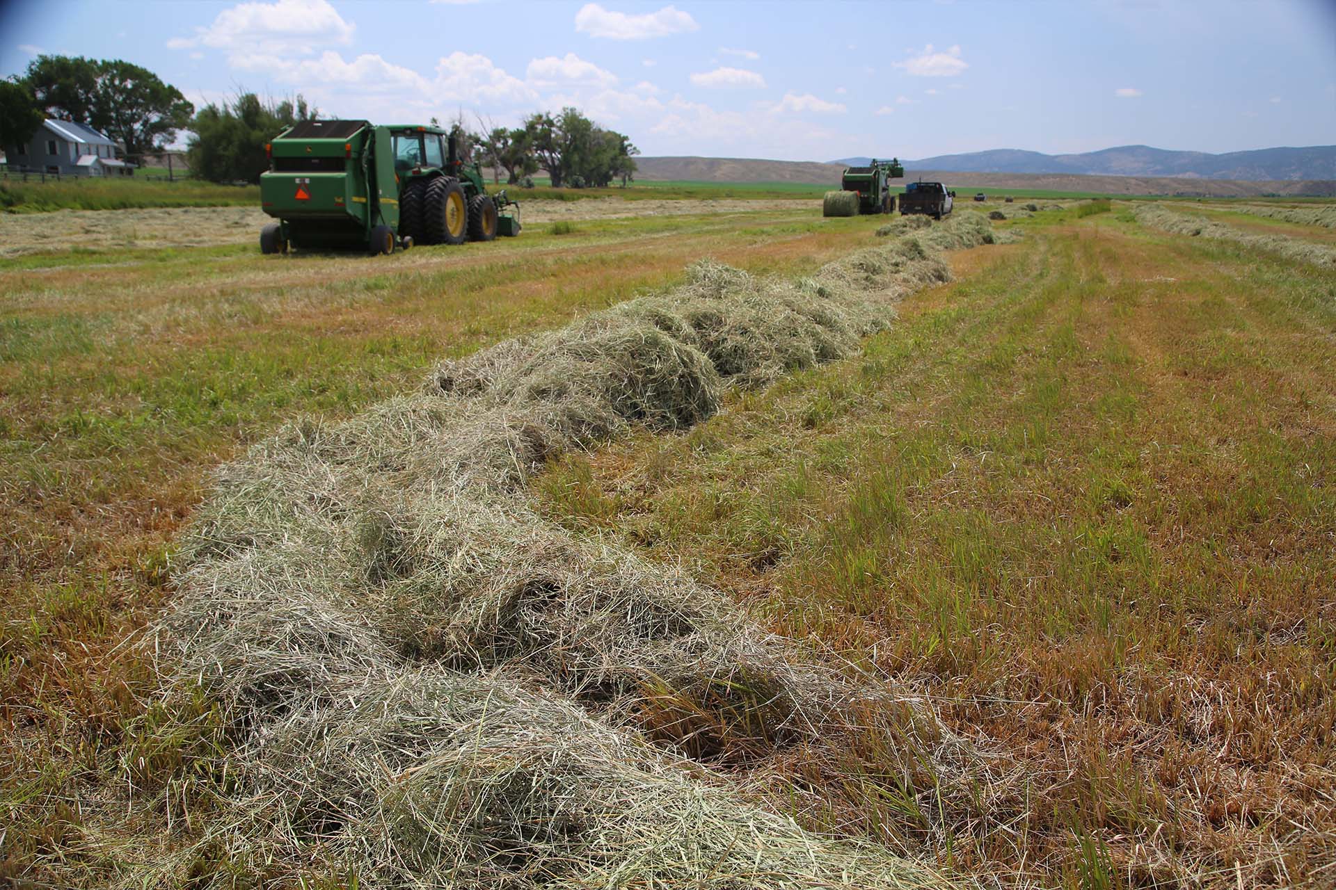 Sevens-Ranch-Colorado-ranches-for-sale-hay