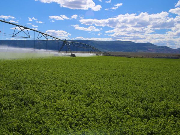 Western states gauge foreign ownership of agricultural land with eye toward national security
