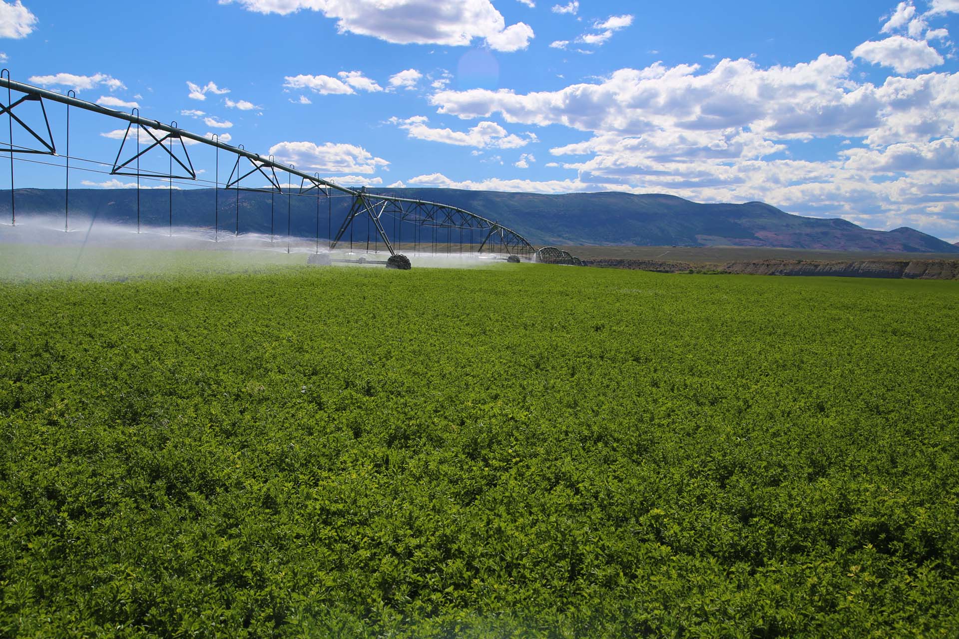 Sevens-Ranch-Colorado-ranches-for-sale-pivot