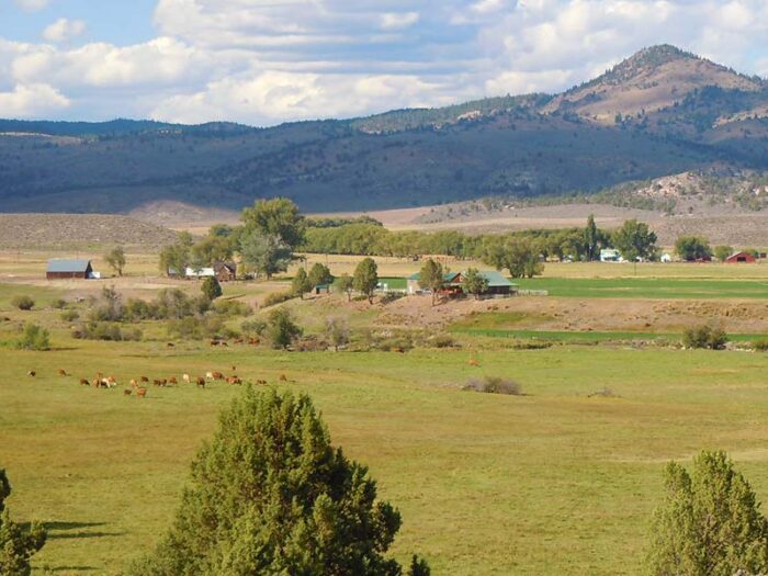 Silva Ranch