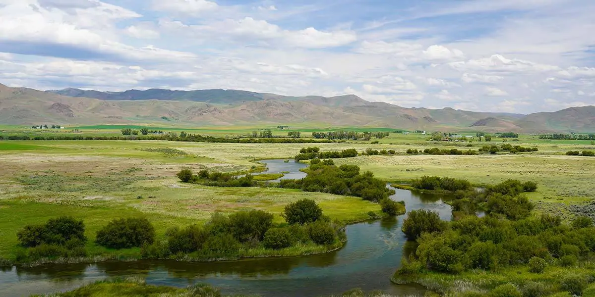 Silver-Spring-Ranch-14