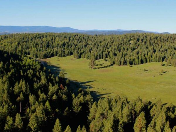 Sold Ranches in Oregon: Six Shooter Ranch