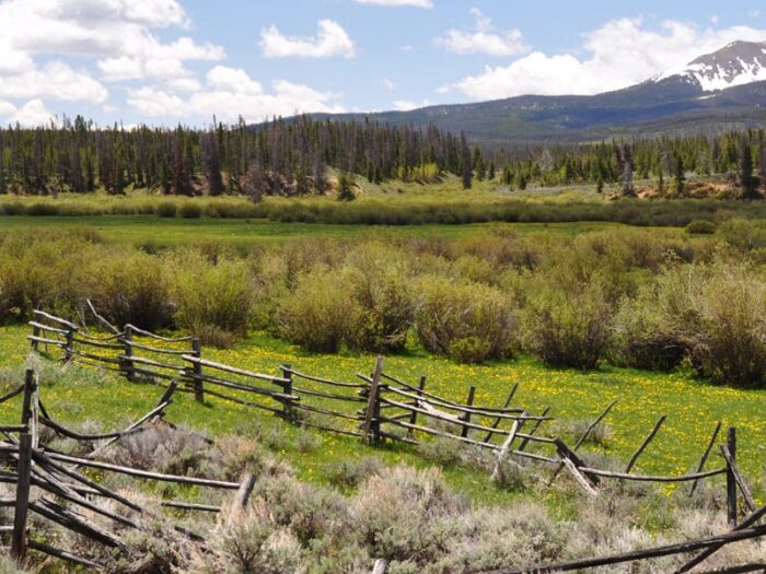 Snyder Ranch