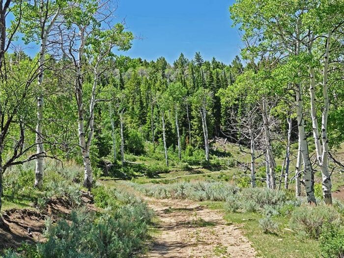 Soldier Creek Ranch