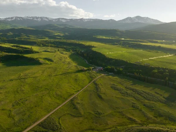 Mirr Ranch Group honored as top ranchland company