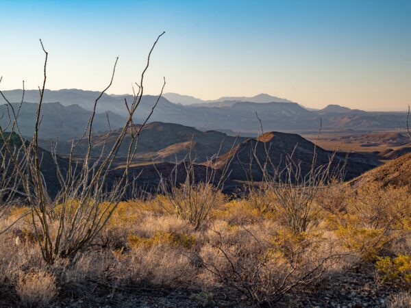 Mirr Ranch Group and King Land & Water Become Allies in Conservation