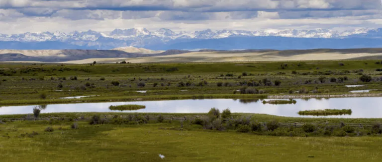 The Cottonwood with mountain range backdrop & water rights