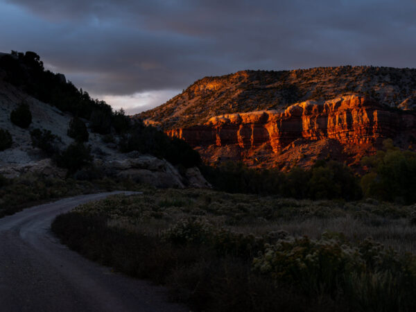 New Episode – Wyoming Markets: What’s Trending in 2026