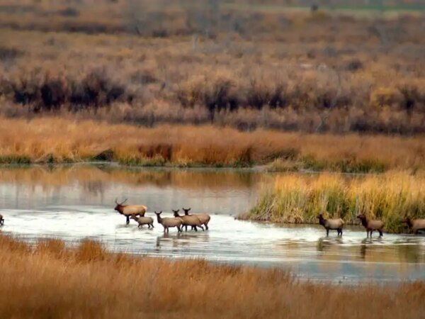 Trophy hunting on the Thunder Ranch