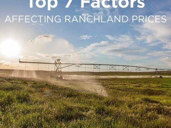 Top 7 Factors Affecting Ranchland Prices