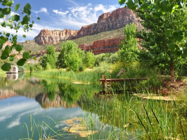 Iconic Utah Ranch for Sale: Trees Ranch Adjoining Zion National Park Goes on the Market