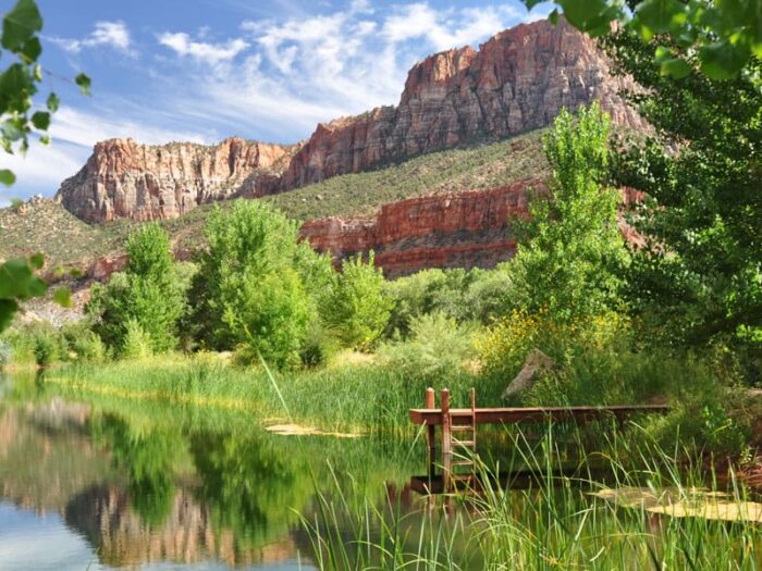 Trees Ranch