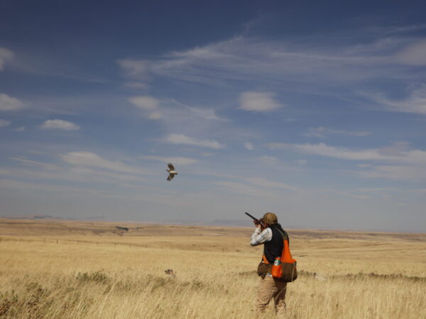 New Episode – On the Ground: A Deep Dive into Upland Bird Hunting