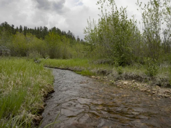 Colorado Ranches for Sale: Critical Issues to Not Overlook, Part 2