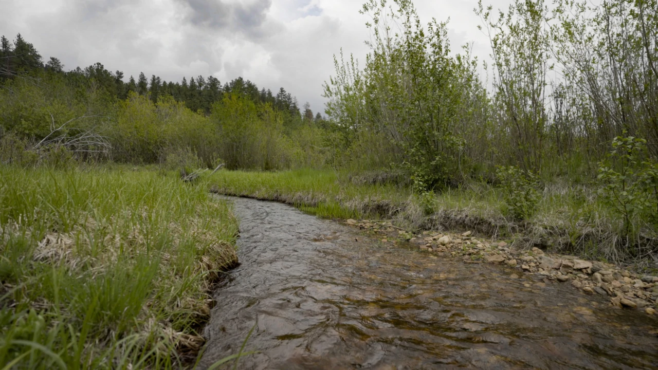 Upper Bear Headwaters Ranch