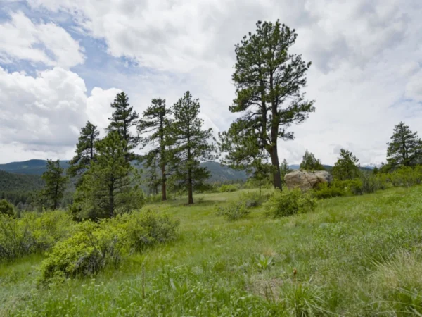 5 Valuable Features of Ranches & Sporting Properties