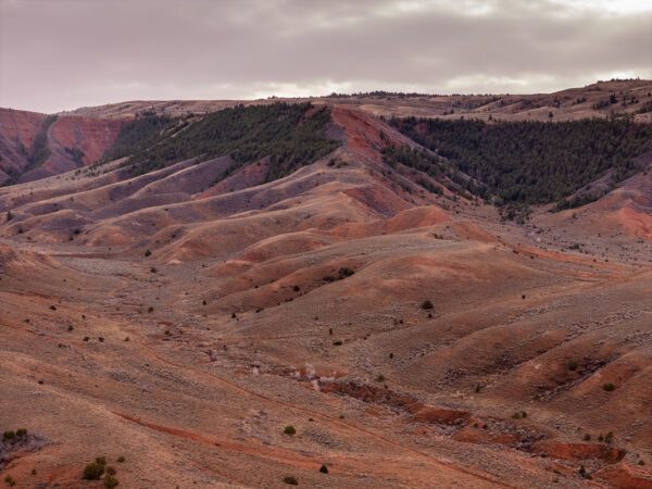 Upper Big Red Creek Ranch: A Clean Slate on Muddy Mountain in Wyoming