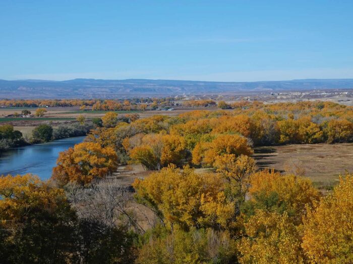 Valley Springs Ranch