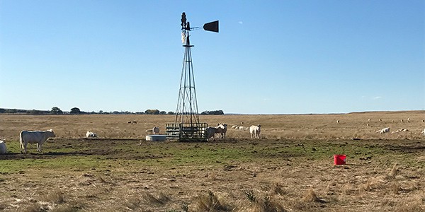 Vetter Grass Pasture