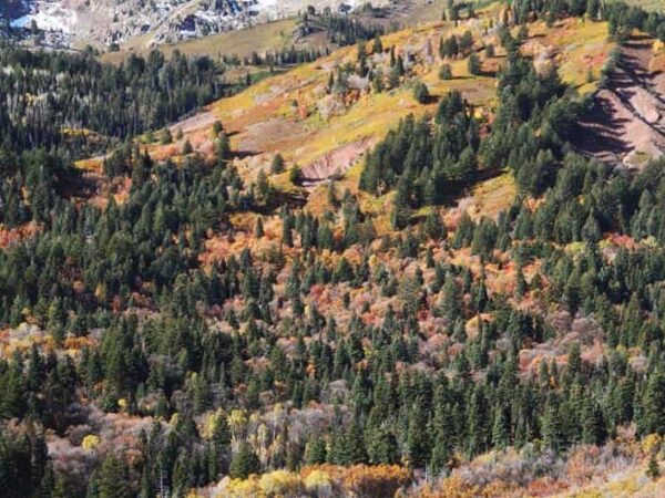 SOLD Listing Boasts More Ski Terrain Than Vail