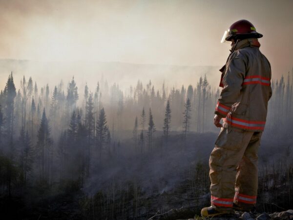 The Brave Ones: Understanding the Challenges Faced by Wildland Firefighters