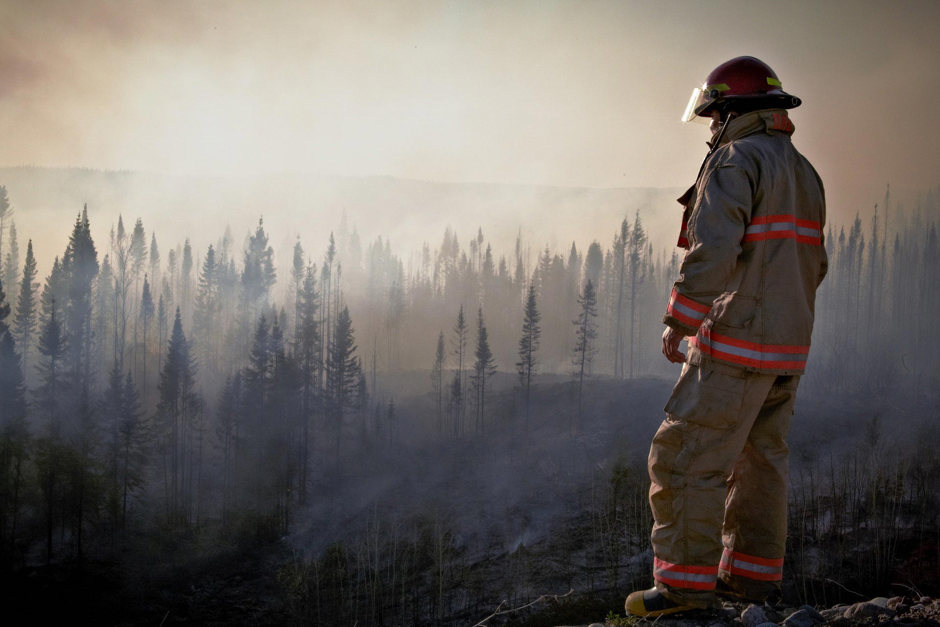Wildland-Firefighter