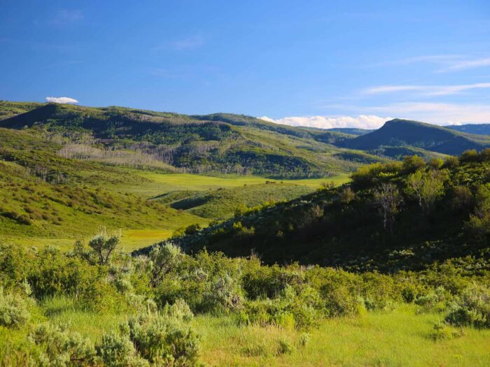 Williams Park Ranch