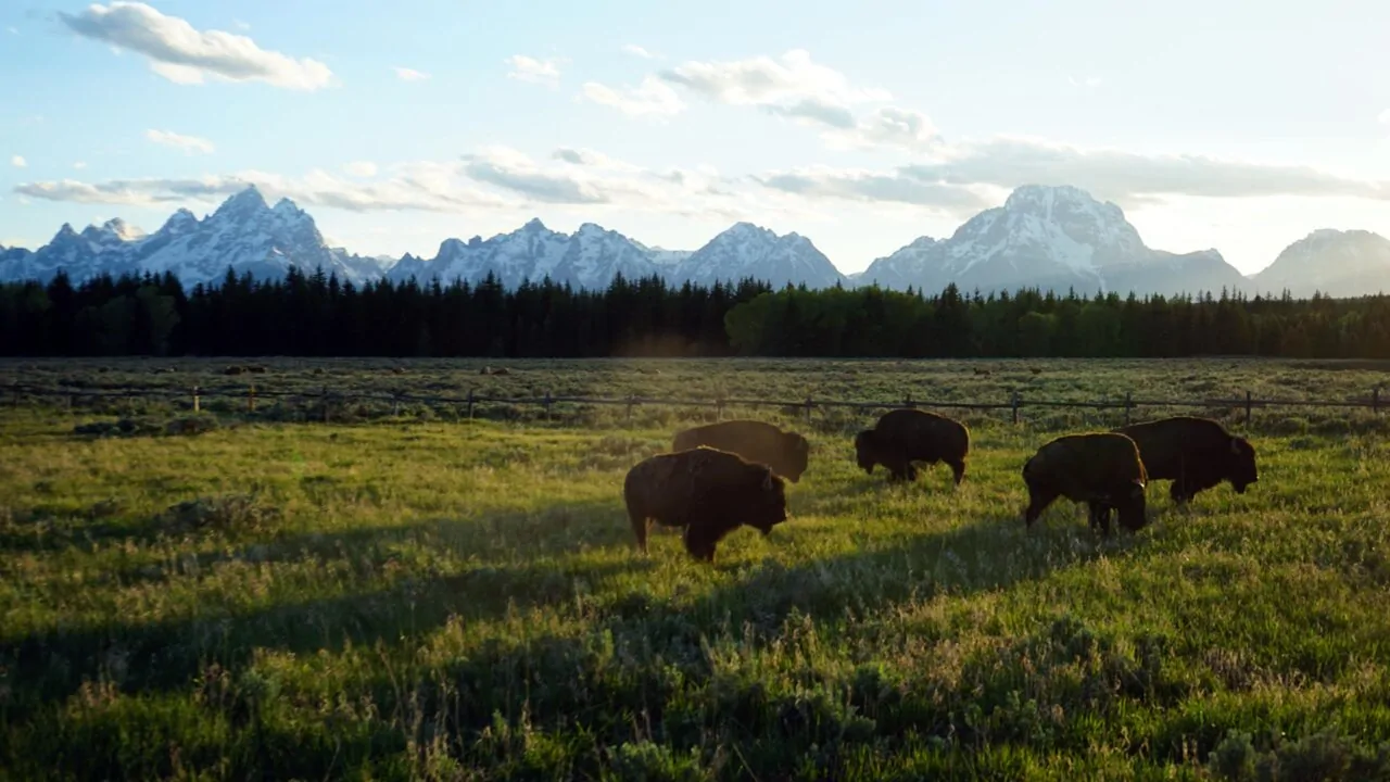 Wyoming-ranches-for-sale