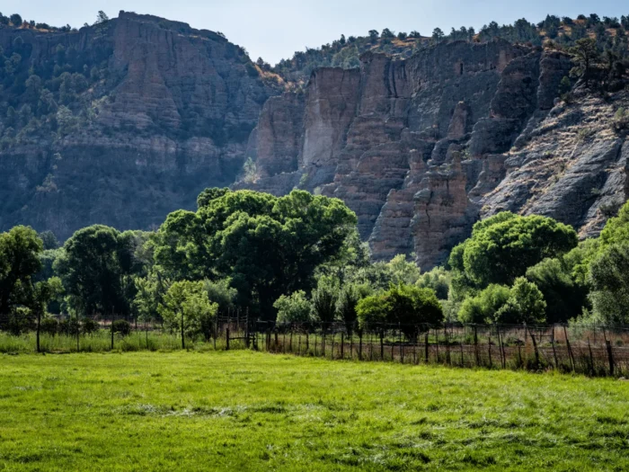 The Mirr Ranch Group (Proven Track Record)