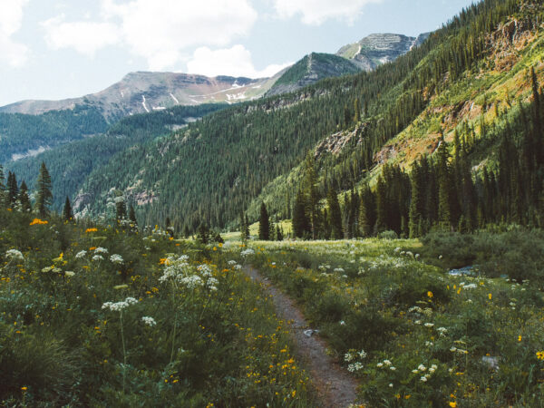Public Access, Private Working Lands, and Conservation Easements