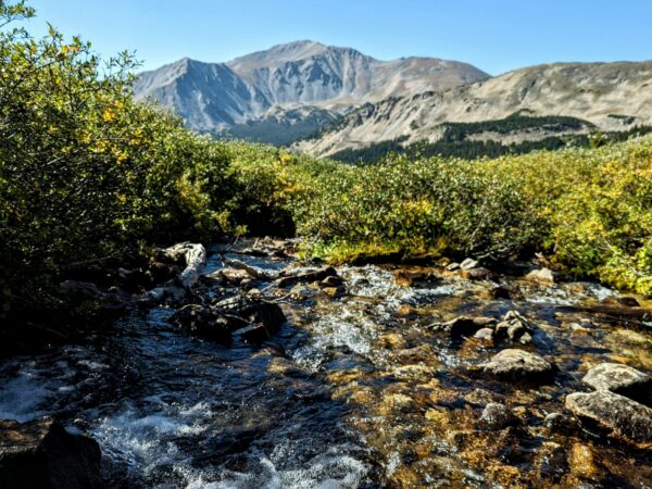 Snowpack in 2024 poised to deliver strong river flows – for the most part