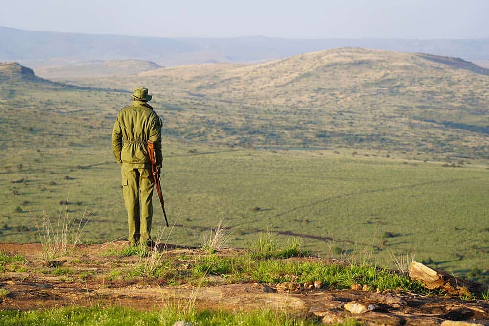 international-conservation-lewa